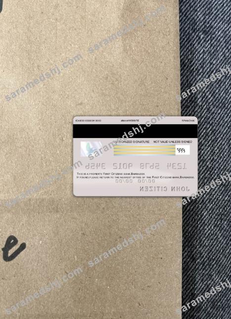 Barbados First Citizens bank visa card photolook back